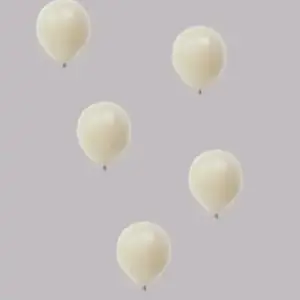 Ballon no. 24 fossil vintage