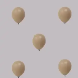 Ballon no. 24 sepia vintage